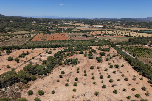 Panoramic view