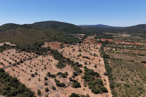 plot in Manacor-Süd