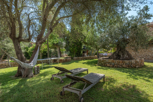 Eingewachsener Garten