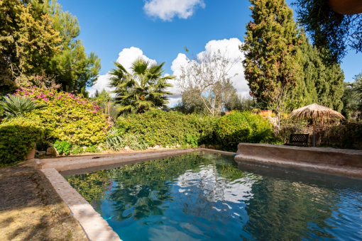 Old water basin converted into a pool