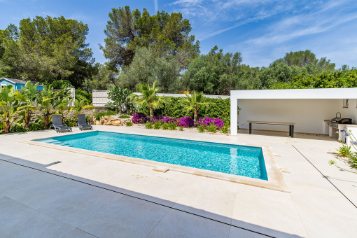 Pool and barbecue area