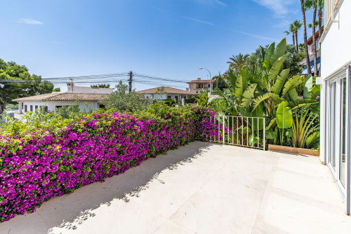 Terrace guest apartment