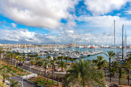 Harbour views