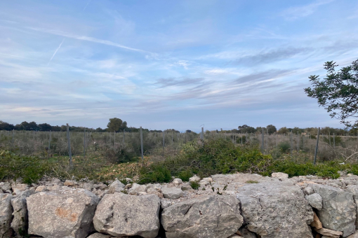 Grundstück mit Blick auf die Landschaft