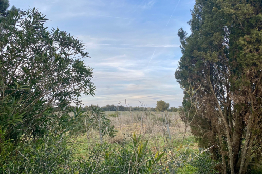 Beautiful building plot with vines near Porreres