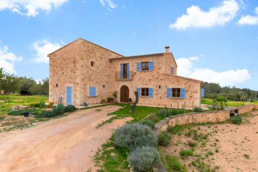 Finca