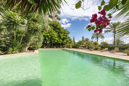 Pool area