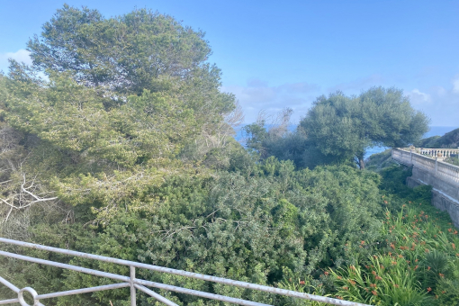 Sea view