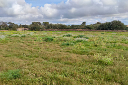 Plot for a finca