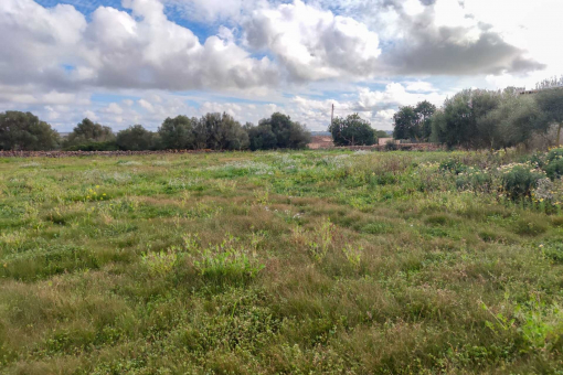 Plot for a finca