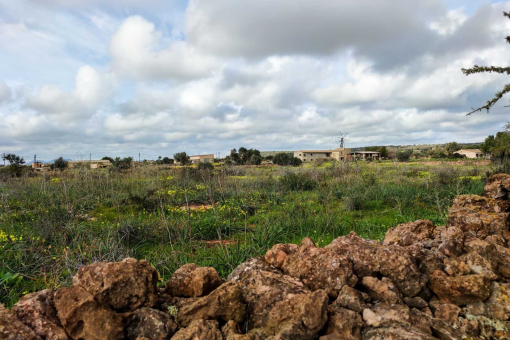 Plot for a finca