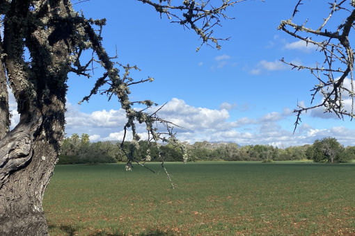 Grundstück mit Blick auf Randa