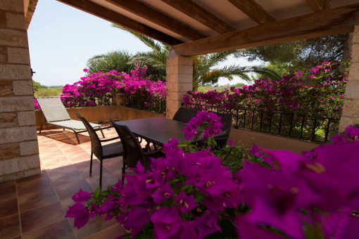 Charming terrace