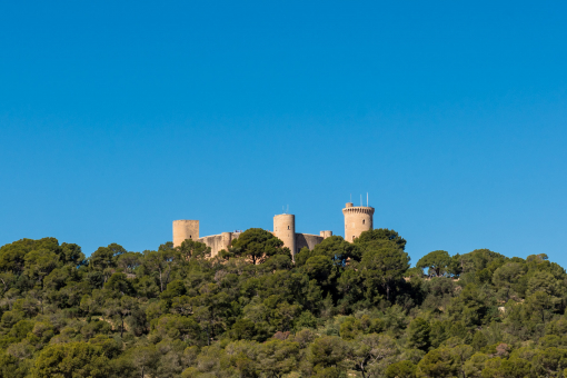 View to castle Bellver