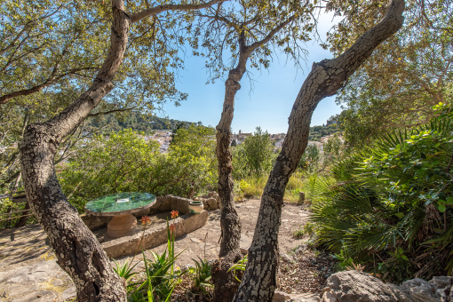 Mediterranean garden