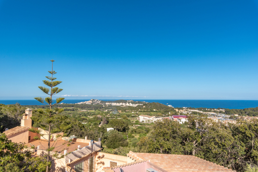 Views from the roof top of the tower