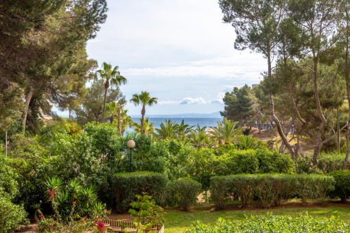 Sea views