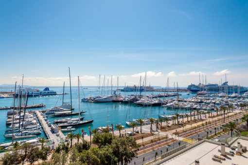 Bright Studio Apartment with Balcony and Sea View on Palma's Paseo Marítimo