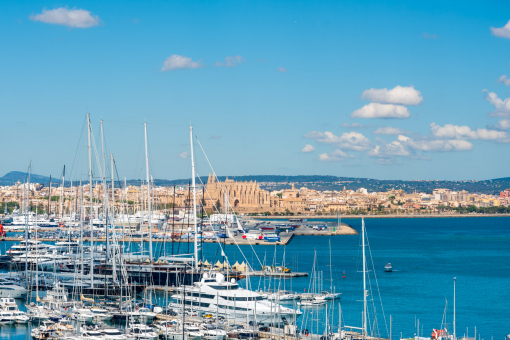 View to harbour