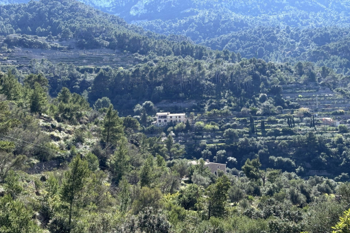 En la mitad de naturaleza