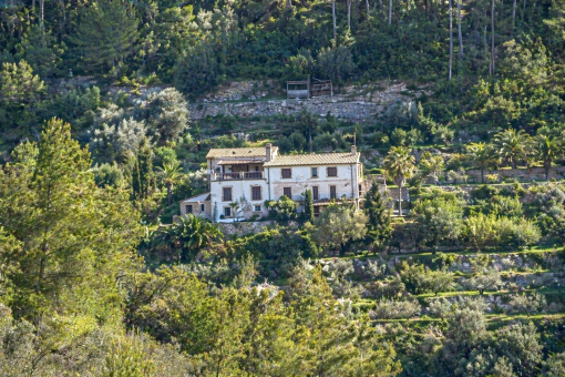 El anexo independiente de la finca, disponible en alquiler, se aprecia en el lado izquierdo de la imagen.