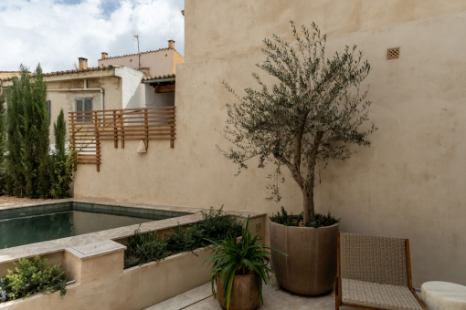 Peaceful Mediterranean patio with private pool and curated planting