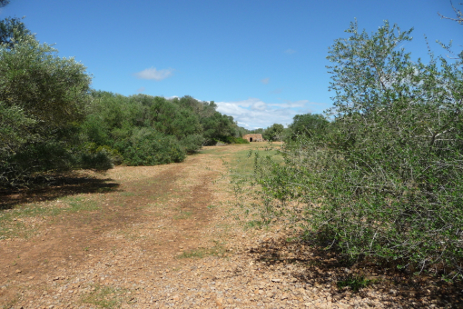 Building plot