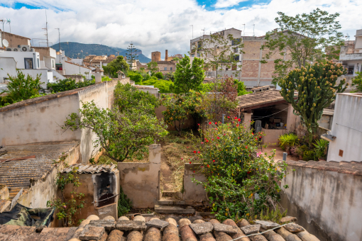 Terraza