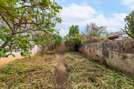 Jardín