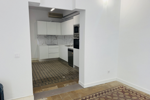 View from the living area into the kitchen