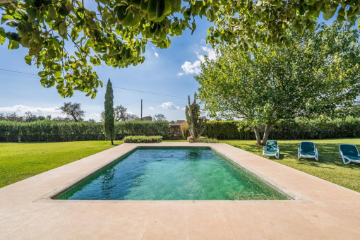 Inviting saltwater pool and lovingly designed outdoor areas