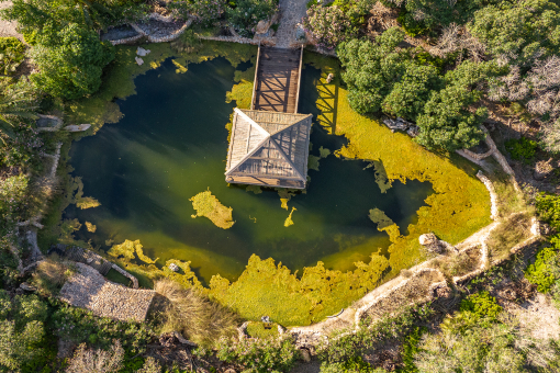 Pond with house