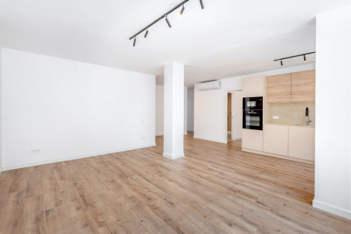 Living and dining area