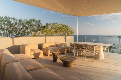 Privat rooftop terrace with pool