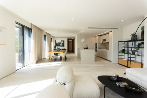 Open plan living space 