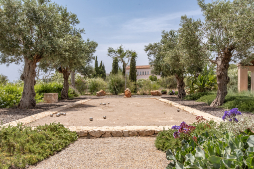 Pétanque court