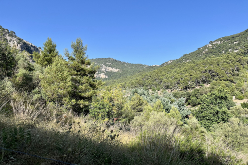 Grundstück in Valldemossa