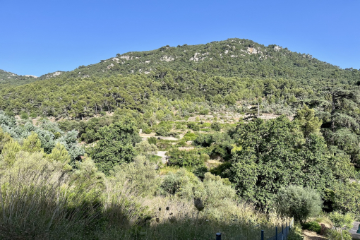 Aussicht