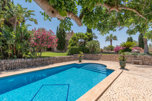 Poolbereich mit Sonnenterrasse