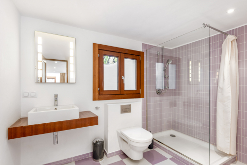 En-suite bathroom in the guest apartment