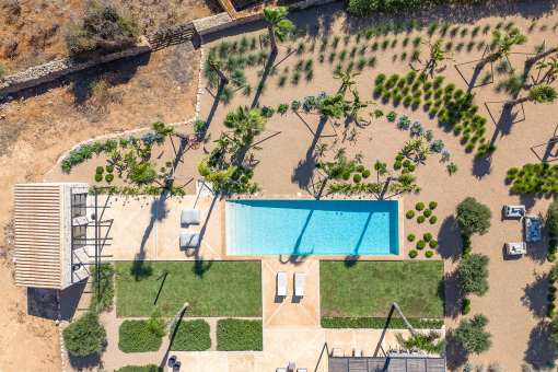 Mediterranean garden