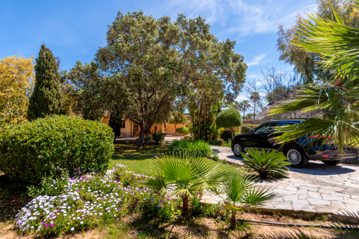 Garden and exterior area of the townhouse