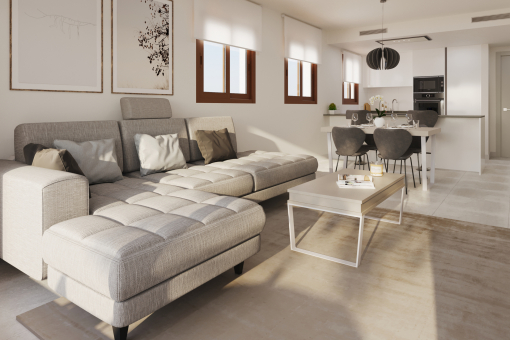 Living room and Kitchen