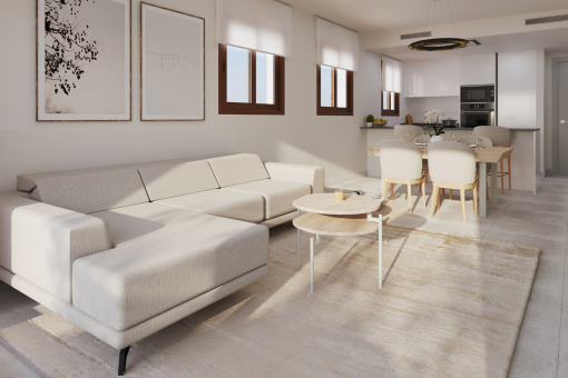 Living room and Kitchen