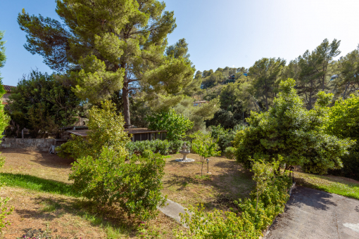 Jardín