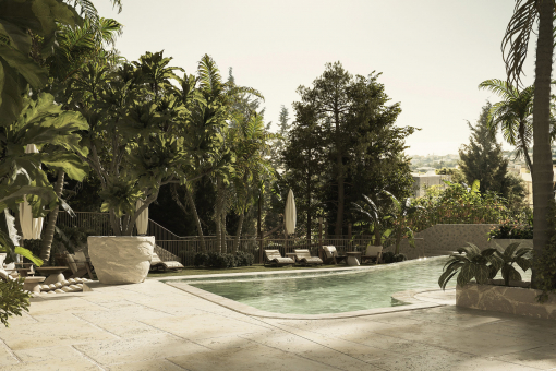 Tropical garden