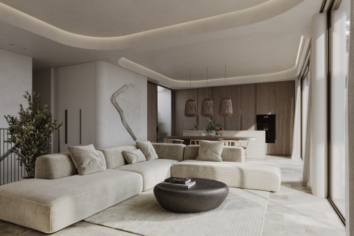 Living room and kitchen