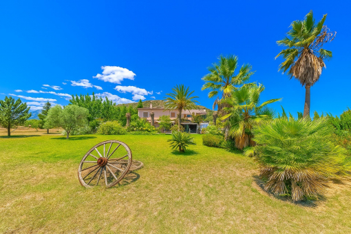 Finca in Alcúdia mit großem Grundstück, Naturpool und Nebengebäuden und nur 5 Autominuten zum Strand