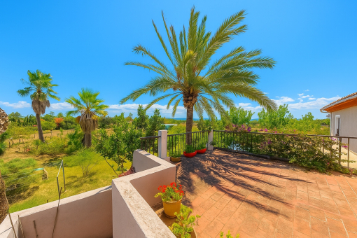 Ausblick von der Terrasse des Gästeapartments