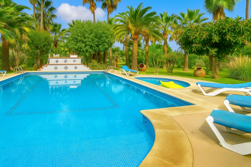 Swimming pool and sun terraces
